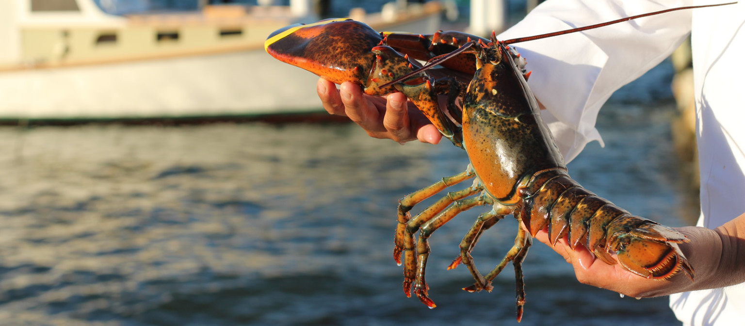 Ford’s Lobster « Mystic CT Restaurants, Bars and Things To Do