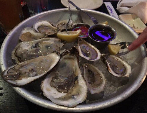 Best Place That Serves Oysters in Mystic CT