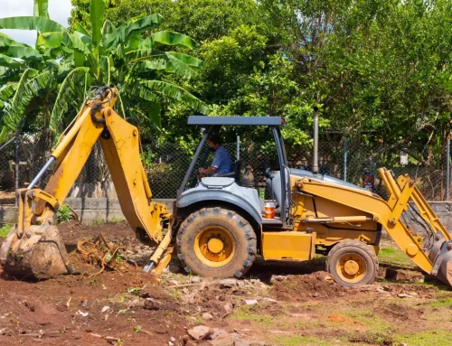 Discover How Much You Can Expect to Pay for Land Clearing and Brush Removal Services