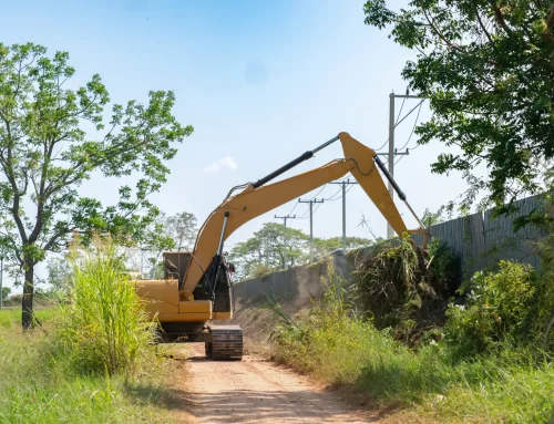 Everything You Need to Know About Brush Clearing Costs in Connecticut Before Hiring a Contractor