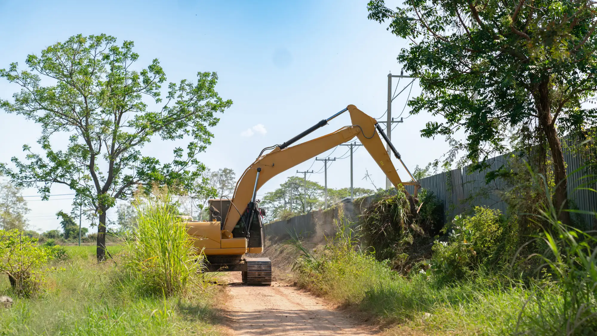 everything you need to know about brush clearing costs in connecticut before hiring a contractor