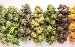 A well-lit interior of a cannabis dispensary displaying various cannabis products and flower.