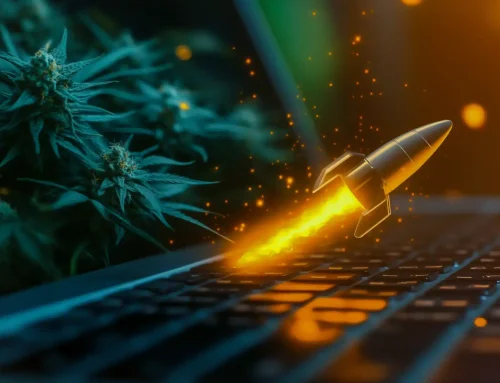 The Major Differences Between Cannabis SEO Firms and Traditional Digital Marketing Agencies