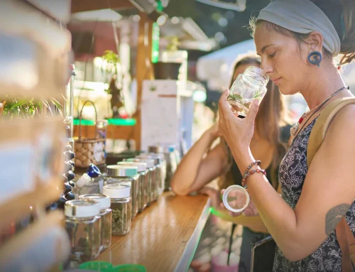 Shop Santa Rosa Dispensaries With Impressive Selections of Flower, Edibles, Vapes, and More