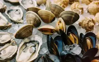 Mystic CT's best raw bar featuring fresh oysters and clams daily