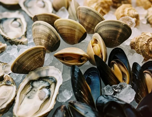 Top Mystic Raw Bars That Highlight Freshly Harvested Local Oysters and Clams Daily