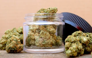 Locally grown cannabis flowers at dispensary in Santa Rosa CA