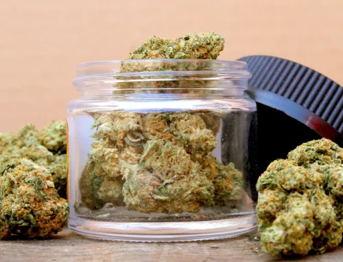 The Benefits of Choosing Locally Grown Cannabis Flower Available at Trusted Dispensaries