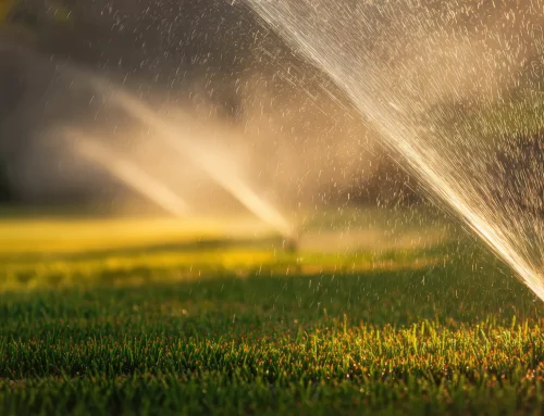 Identifying the Best Irrigation Contractor in Waterford Gives Your Lawn the Care It Deserves