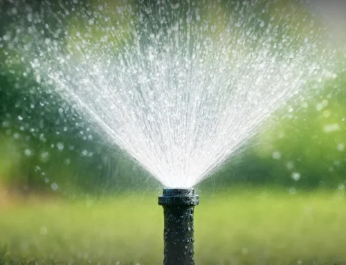 How to Choose the Best Sprinkler Company in Glastonbury, CT for Your Property