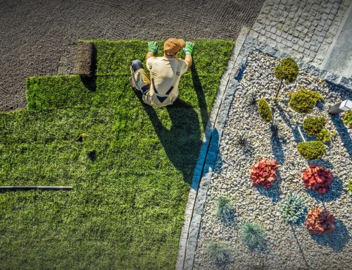 Commercial Landscaping Creates a More Attractive, Welcoming, and Professional Business Environment