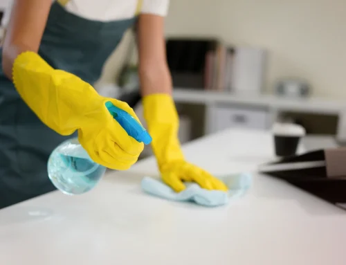 Make Every Room Shine With Environmentally Safe Cleaning Services in Newton, MA
