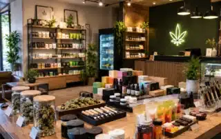 Customer exploring weed stores near me in Mystic, CT for quality cannabis products